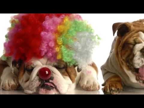 Mincha Moment 22 - "Modeh Ani" -  Song by Rabbi Menachem Creditor