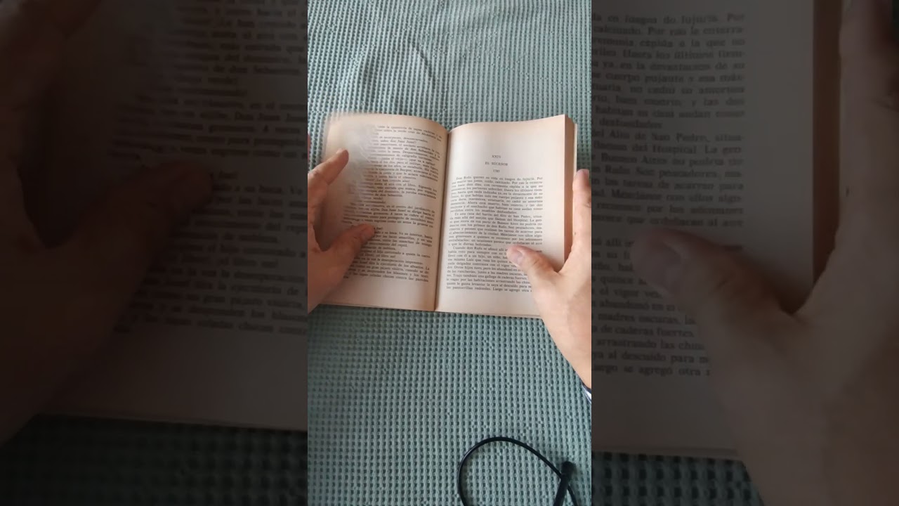 Manuel Mujica Lainez.The successor.