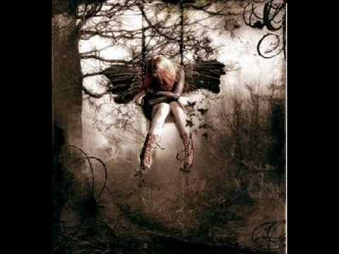 Sula mazurega-passaro livre ,,,