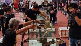 ●LIVE●ONE Champion AQUASCAPE contest 2022 "Juara Terbaik Indonesia