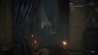 初心者観察ナイトレイン