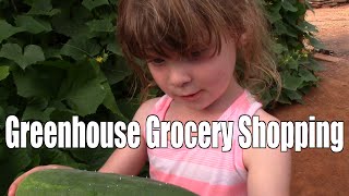 preview picture of video 'Greenhouse Grocery Shopping'