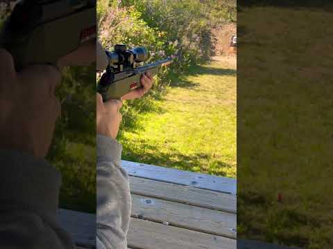 Winchester Wildcat Shots Down Range #shorts