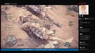 だらっとのんびりMHWを遊ぶ:8[大検の練習]