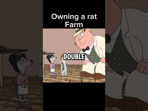 Family guy Peter owns a rat farm #familyguy #bestmoments #funny #random #rat #farm