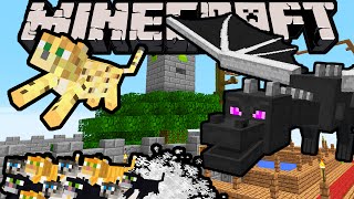 Minecraft DRAGON BOY - Itty Bitty Kitty City! - Episode 5 (Super Hero Story & Improv Adventure)