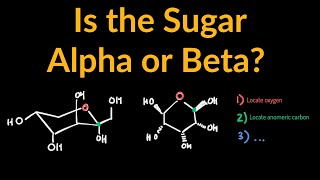 Alpha or Beta? How to Identify Carbohydrates (Sugars) as Either Alpha or Beta Examples and Problems