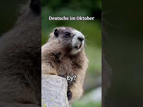 Lieblingsgetränk im Oktober?