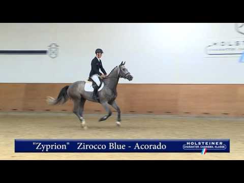 144. Zyprion v. Zirocco Blue - Acorado
