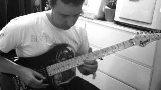 Blut Aus Nord GUITAR COVER, the meditant (memoria vetusta II)