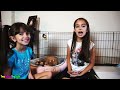 We Got A New Puppy Best Puppy Surprise Ever