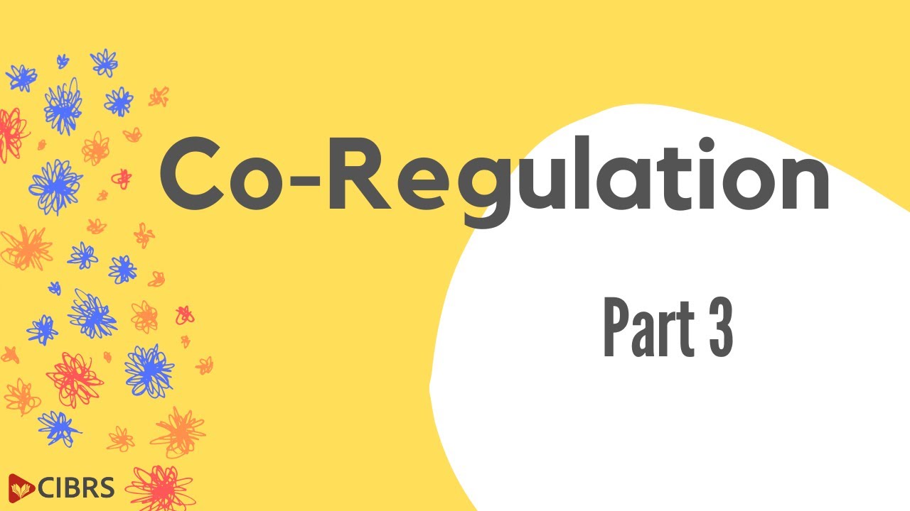 Co-Regulation: Part 3