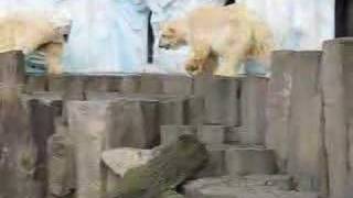Ueno Zoo - 上野動物園