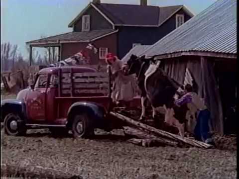 Margo's Got The Cargo - Stompin Tom Connors