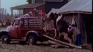 Stompin&#39; Tom Connors - Margo&#39;s Cargo (Official Music Video)