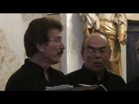 TAVAGNA en concert - L'Omu seguita