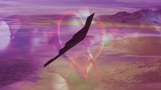 Carpetbomb, My Love Music Video