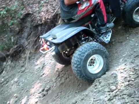 213.DEČKI  ŽUTNICE  -   Novi putevi 1.