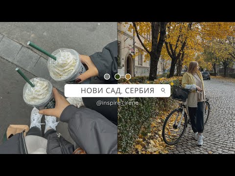 VLOG Нови Сад: аренда квартиры в Сербии, визаран, сербские будни