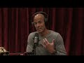 Joe Rogan Experience 1906 David Goggins