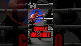 Crawford Shook Canelo Here! #boxing  #shorts