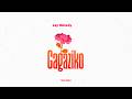 Jay Melody - Gagaziko (Lyrics)