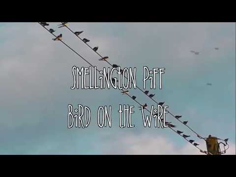 Bird on the Wire