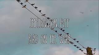 Smellington Piff - Bird on the Wire (Prod. Illinformed)