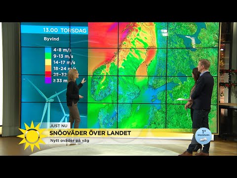 Meteorolgens vindvarning: "Det kommer bli rejält blåsigt!" - Nyhetsmorgon (TV4)