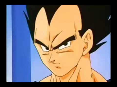 Vegeta and Goku's Most Serious Conversation Ever