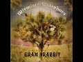 "Destinies Align" By Gram Rabbit - Todd Rutherford "Destinies Align" By Gram Rabbit