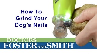 How to Grind Your Dog