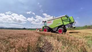 2020 Wheat Harvest insta360go log video #shorts