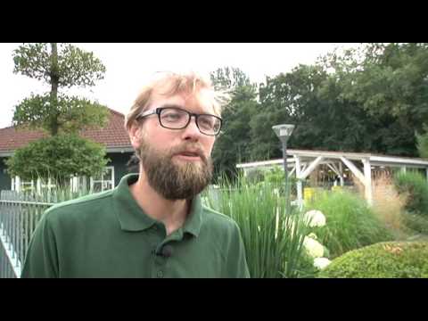 Lintl Gartentipp | richtig Gießen