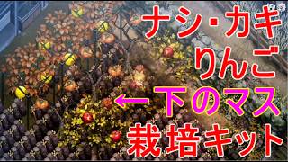【ほの暮しの庭】カキ・ナシ・リンゴの苗木・秋の果樹の品質を金星まで上げる攻略実況