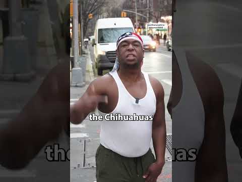 Rapid Fire Questions with History of Earth #comedyvideo #interview