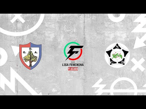Liga Feminina Placard | Resumo | GD Árvore 5 - 3 Novasemente GD | Jornada 13