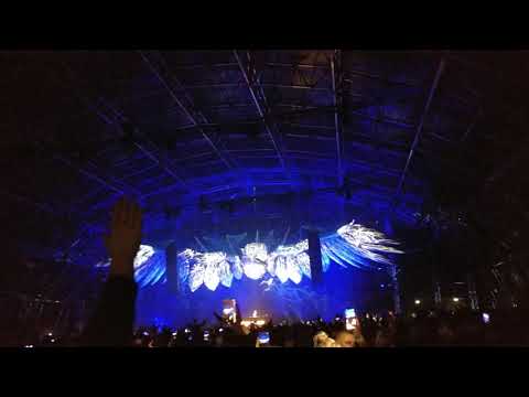 Steelyard Liverpool 07.12.2019 (Creamfields) - Quintino #3