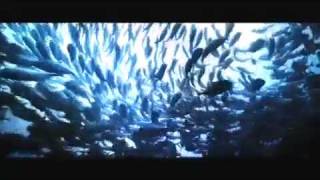 Make A Wave...Joe Jonas &amp; Demi Lovato Official Music video