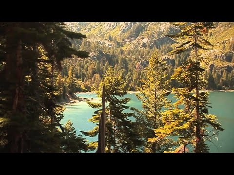 Etherwood - Sunlight Splinters (Official Video)