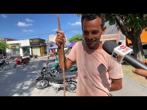 Carro de Carneiros na Feira em São José da Tapera - AL 21 - 03 - 2026 #nordeste