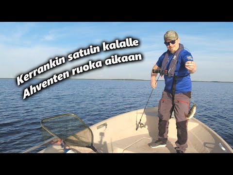 Ahvenen jigausta perämerellä Iissä