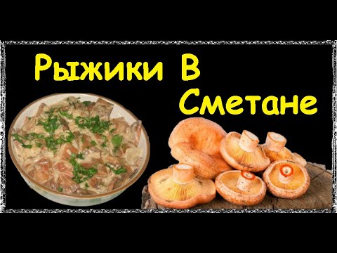 Рыжики В Сметане / Книга Рецептов / Bon Appetit