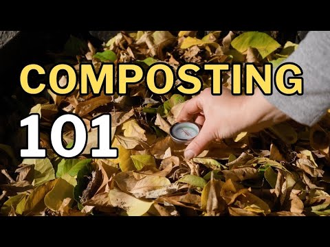 COMPOSTING 101: Turn Kitchen Scraps into Garden Gold
