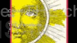 one flesh -chameleons