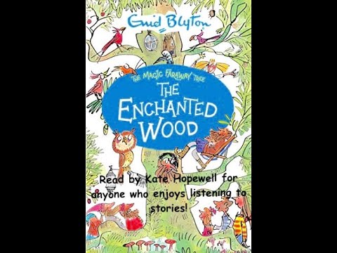 The Enchanted Wood Chapter 20