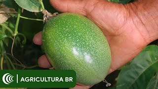 Miniatura do vídeo