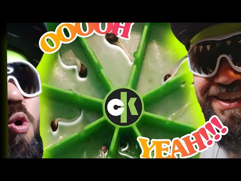 Using The @cannakan to germinate seeds