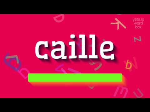 How to say "caille"! (High Quality Voices)
