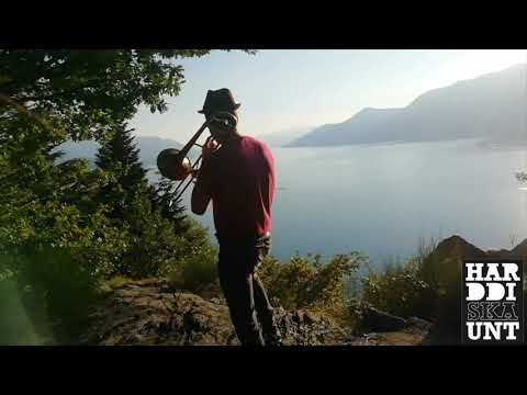 Harddiskaunt Tbone dream (a tribute to Rico Rodriguez)